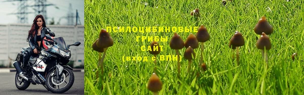 mix Абаза