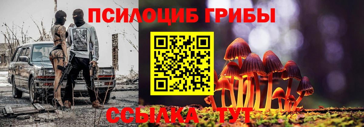 Псилоцибиновые грибы мицелий Тында